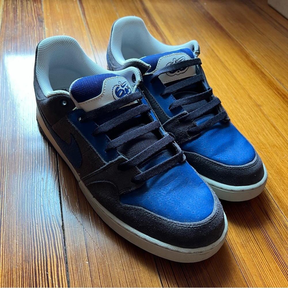 MENS Nike 6.0 Dunk